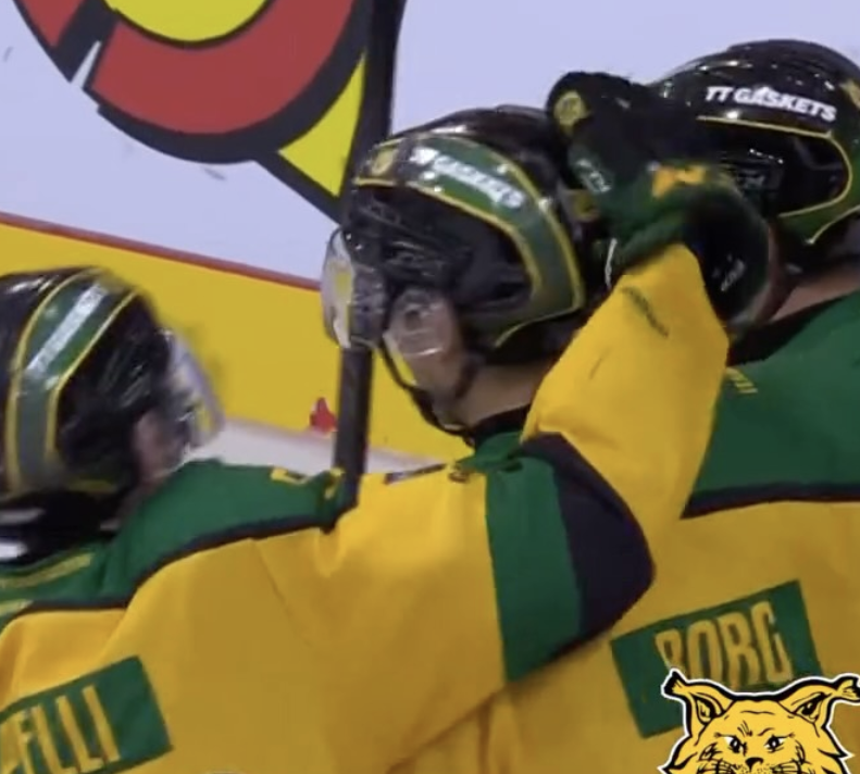 Ilves