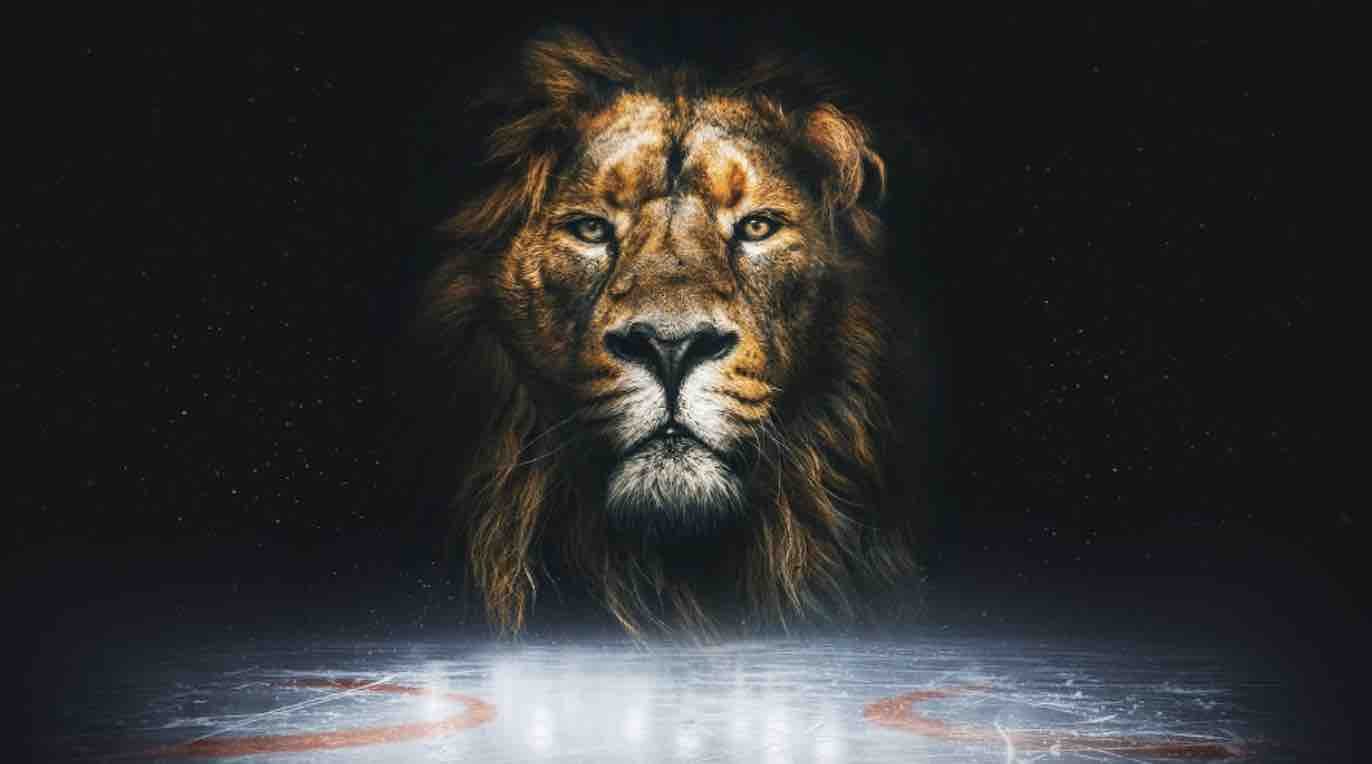 Leijonat