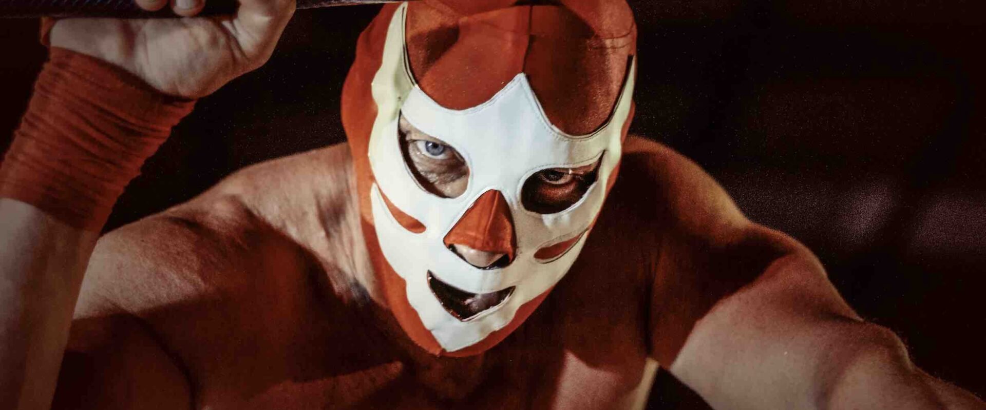 WWE, Wrestling